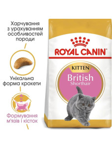Сухий корм для кошенят породи британська короткошерста, Royal Canin British Shorthair Kitten, 10 кг