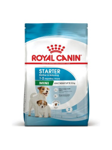 Корм собачий для імунітету малюків та сил мами, Royal Canin Mini Starter, 8 кг