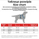 Шлейка для собак Collar из хлопка с QR-паспортом, H-образная, светоотражающая, оранжевая, M, ширина 20 мм, обхват A 43–60 см, B 50–80 см, 25924