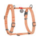 Шлейка для собак Collar из хлопка с QR-паспортом, H-образная, светоотражающая, оранжевая, M, ширина 20 мм, обхват A 43–60 см, B 50–80 см, 25924