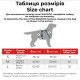Шлейка для собак Collar из хлопка с QR-паспортом, H-образная, светоотражающая, серая, M, ширина 20 мм, обхват A 43–60 см, B 50–80 см, 259211