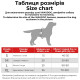 Шлейка для собак Waudog Nylon с QR-паспортом, рисунок Витраж, 20 мм, 50–80 см, 4606