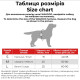 Шлейка для собак Collar из хлопка со светоотражающими элементами, серая, S, ширина 15 мм, обхват 40–55 см, 032411