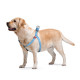 Шлейка для собак Collar из хлопка с QR-паспортом, светоотражающая, голубая, S, ширина 15 мм, обхват 40–55 см, 03242