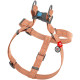 Шлейка для собак Collar из хлопка с QR-паспортом, светоотражающая, оранжевая, S, ширина 15 мм, обхват 40–55 см, 03244