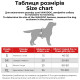 Шлейка для собак Waudog Nylon с QR-паспортом, рисунок милитари, S, 15 мм, обхват A=B 40–55 см, 330-4026