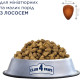 Сухой корм для собак мелких и миниатюрных пород Club 4 Paws с лососем, 14 кг, 5740