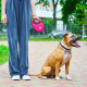 Поводок-рулетка для собак Waudog R-leash S, 3 м, до 12 кг, розовый, со светоотражающей лентой и контейнером для пакетов, 26277