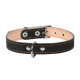 Кожаный двойной ошейник для собак Collar, 20 мм, 32-40 см, черный