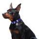 Кожаный ошейник для собак Waudog Classic 02179 с QR-паспортом, 20 мм, 30–39 см, фиолетовый