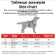 Шлейка для собак Collar из хлопка с QR-паспортом, H-образная, светоотражающая, красная, S, ширина 15 мм, обхват A 36–42 см, B 35–50 см, 25913
