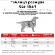 Шлейка для собак Collar из хлопка с QR-паспортом, H-образная, светоотражающая, синяя, S, ширина 15 мм, обхват A 36–42 см, B 35–50 см, 259112