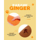 Плюшева пищалка Равлик Ginger іграшка для собак інтерактивна з отворами для ласощів 14х7х22см