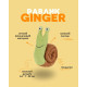 Плюшева пищалка Равлик Ginger іграшка для собак інтерактивна з отворами для ласощів 14х7х22см