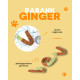Плюшева пищалка Равлик Ginger іграшка для собак інтерактивна з отворами для ласощів 14х7х22см