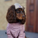 Шапка для собак Hat-Dog акрил бежева з регульованою затяжкою 2/S