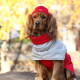 Шапка для собак Hat-Dog акрил червона з регульованою затяжкою 2/S