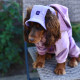 Панама для собак Hat-Dog вельвет лаванда з регульованою затяжкою  5/XL