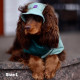 Панама для собак Hat-Dog вельвет оливкова з регульованою затяжкою 2/S
