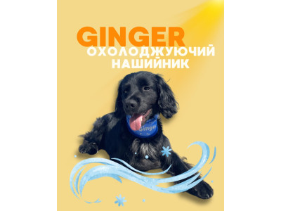 Охлаждающий ошейник для собак Ginger — комфорт и прохлада в жаркие дни