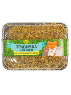 Травка для котов для выведения шерсти из желудка Лори, 60 г (пластиковый контейнер + искусственная почва)