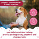 Захисний бальзам для лап та носа собак Buddy Care Black Cherry Чорна вишня, 21 г (g) Арт. B69137