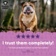 Салфетки Buddy Care Wrinkle Cleansing Wipes для очищения кожных складок у собак 100 шт. Арт. B98809