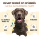 Шампунь для собак Buddy Care Vanilla & Shea Butter с ароматом ванили и масла ши 500 мл (ml) Арт. B61001