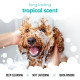 Шампунь для собак Buddy Care Tropical з ароматом тропічних фруктів 500 мл (ml) Арт. B64507