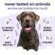 Шампунь для собак Buddy Care Calming & Deodorizing Lavender заспокійливий та дезодоруючий з ароматом лаванди 500 мл (ml) Арт. B66501