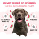 Шампунь для собак Buddy Care Watermelon з ароматом кавуна 500 мл (ml) Арт. B89005