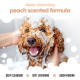 Шампунь для собак Buddy Care Curly Coat Detangling для полегшення розчісування кучерявої та хвилястої шерсті 500 мл (ml) Арт. B94511