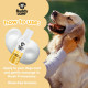 Сухий шампунь-піна Buddy Care Itch Relief Milk & Honey безводний шампунь для собак Молоко та мед 200 мл (ml) Арт. B83409