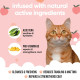 Шампунь для котів Buddy Care Cat Shampoo Peach з ароматом персику 500 мл (ml) Арт. B71000
