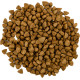 Сухий корм Savory (Сейворі) Adult Cat Sterilized Fresh Lamb & Chicken з м'ясом ягняти і курки для дорослих стерилізованих котів, 400 г