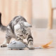 Интерактивная игрушка для кошек Magic tail, автоматическая электрическая мышь на колесах с USB зарядкой 10х7см