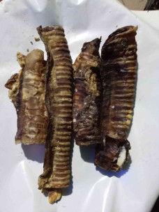 Лакомство Гурман Ginger Pro Трахея говяжья 1кг пакет