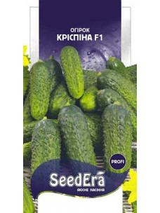 Насіння Огірок 10шт Кріспіна F1самозапильний SeedEra Голландія