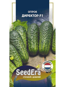 Семена Огурец 10шт Директор F1самоопыляющийся SeedEra Голландия