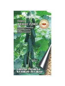Насіння Огірок 4г Фенікс Плюс середньостиглий Кращий Урожай