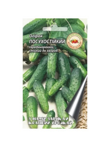 Насіння Огірок 4г Посухостійкий Кращий Урожай