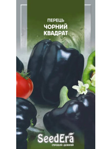 Насіння Перець 0,2г Чорний Квадрат SeedEra