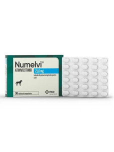 Нумелві (Numelvi) 21,6 мг таблетки для собак від свербіжу, пов'язаної з алергічним дерматитом та клінічними проявами атопічного дерматиту, 30 таблеток (1 блістер)