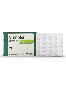Нумелві (Numelvi) 7,2 мг таблетки для собак від свербіжу, пов'язаної з алергічним дерматитом та клінічними проявами атопічного дерматиту, 30 таблеток (1 блістер)