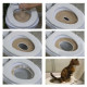 Туалет - накладка CitiKitty Cat Toilet Training для привчання кішок до унітазу.