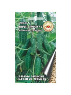 Насіння Огірок 0,3г Вірні друзі Кращий Урожай