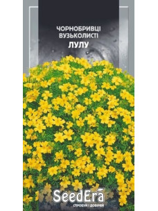 Насіння Квіти Чорнобривці 0,1г Лулу вузьколисті SeedEra