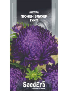 Насіння Квіти Айстра 0,25г Піонен Блауер Турм SeedEra