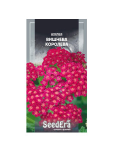 Насіння Квіти Ахілея 0,1г Вишнева Королева SeedEra