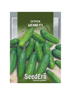 Насіння Огірок 5г Цезар F1 SeedEra